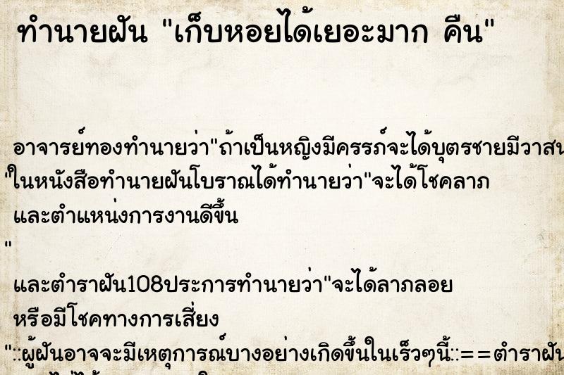 ทำนายฝัน เก็บหอยได้เยอะมาก คืน